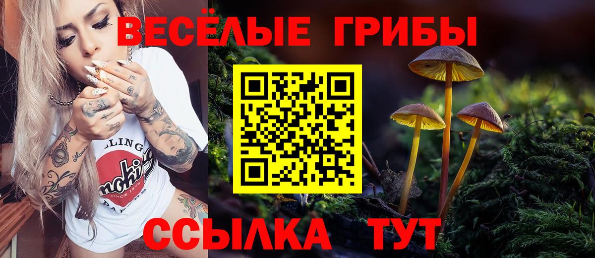 Псилоцибиновые грибы мухоморы Елабуга