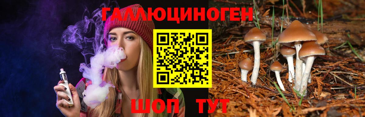 Елабуга  Галлюциногенные грибы ЛСД  Вход с VPN  Галлюциногенные грибы Cubensis 